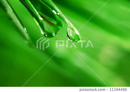 big water drop big water drop 11194490