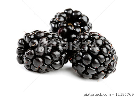 blackberry blackberry 11195769