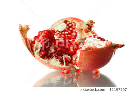 pomegranate pomegranate 11197297