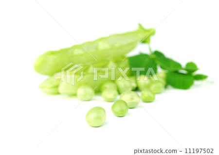 Pea isolated on white Pea isolated on white 11197502