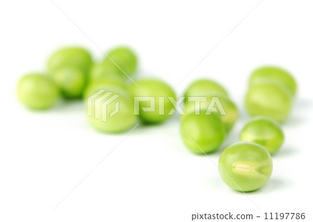Pea bean isolated on white Pea bean isolated on white 11197786