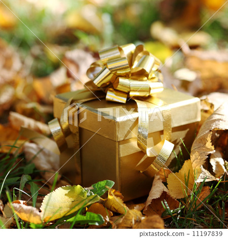 autumn gift autumn gift 11197839