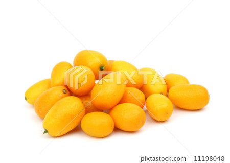 kumquat 11198048