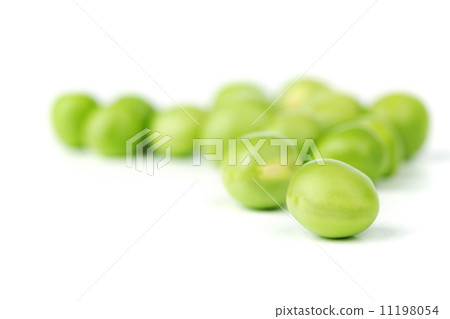 Pea bean isolated on white Pea bean isolated on white 11198054
