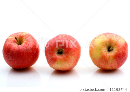 three apple 11198744