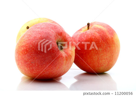 three apple three apple 11200056
