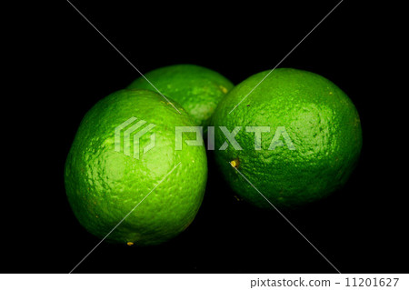 lime lime 11201627