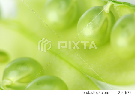 Pea isolated on white Pea isolated on white 11201675