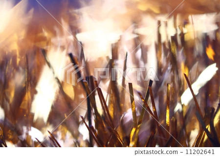 holiday background 11202641