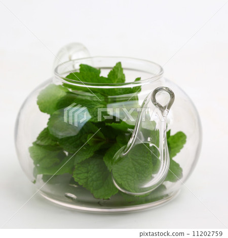 mint tea mint tea 11202759