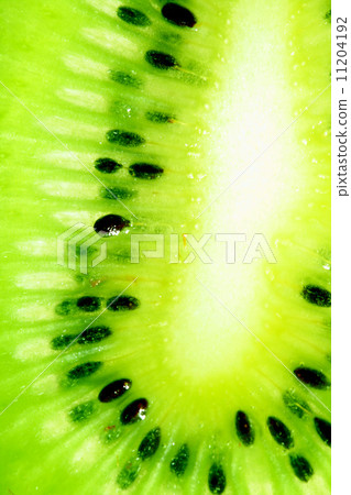 kiwi slice 11204192