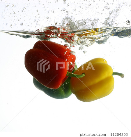 paprica splash 11204203