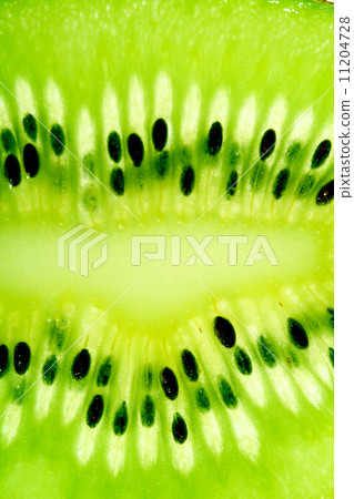 kiwi slice 11204728