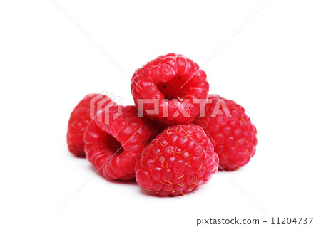 raspberry pile raspberry pile 11204737