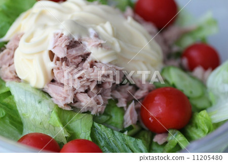 Tuna and lettuce salad with too much mayonnaise 11205480