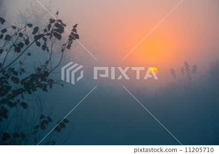 Landscape of morning sunrise 11205710