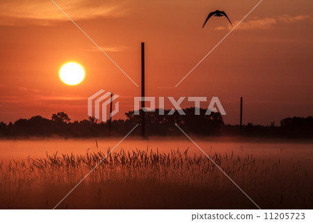 Landscape of morning sunrise 11205723