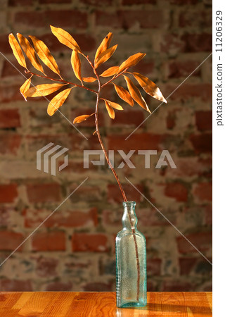 Bottle with dry twig Bottle with dry twig 11206329