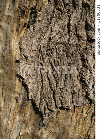 Wooden texture Wooden texture 11206331
