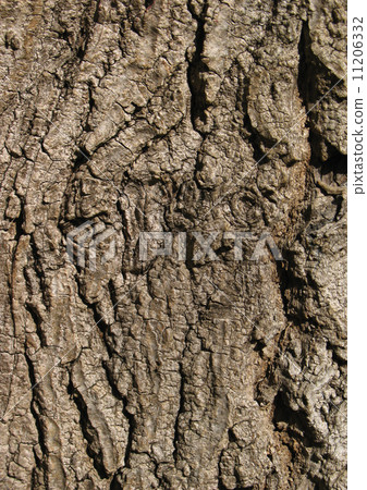 Wooden texture Wooden texture 11206332