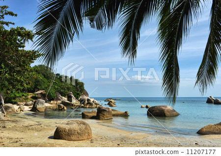 Tropical Lamai beach, Thailand Tropical Lamai beach, Thailand 11207177