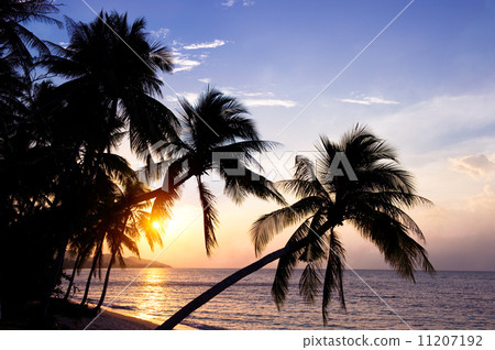 Samui island, Thailand 11207192