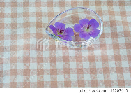 Flower blossoms floating in water 11207443
