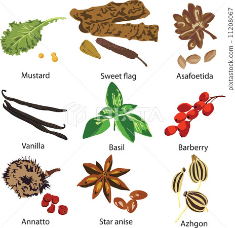 set of different spices 11208067