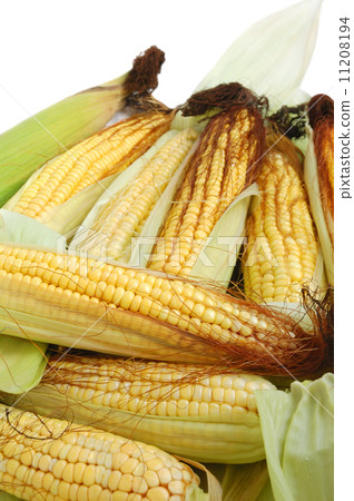 Fresh corn on the cob Fresh corn on the cob 11208194
