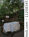 Yaku Izumi of Kairakuen (vertical cut) 11208345
