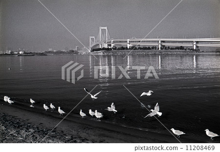 Record of Tokyo Bay landfill · Odaiba 1990's Record of Tokyo Bay landfill · Odaiba 1990's 11208469