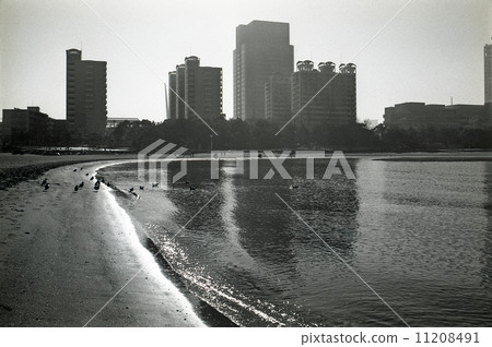 東京灣垃圾填埋場記錄·台場1990年代 東京灣垃圾填埋場記錄·台場1990年代 11208491