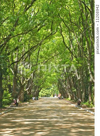 Holiday avenues 11208942