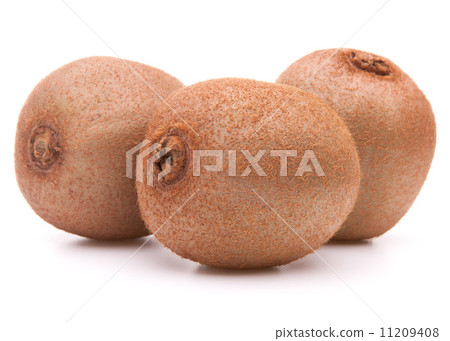 Kiwi fruit Kiwi fruit 11209408