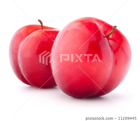 Sweet plum isolated on white background cutout Sweet plum isolated on white background cutout 11209445