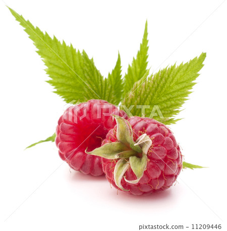 Sweet raspberry isolated on white background cutout Sweet raspberry isolated on white background cutout 11209446