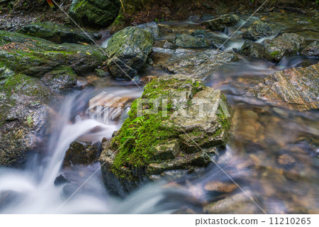 Moss and clear stream 11210265