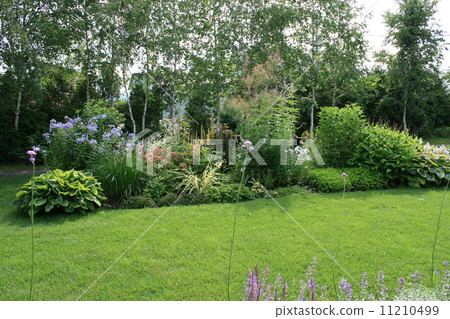 上野農場的花壇 上野農場的花壇 11210499