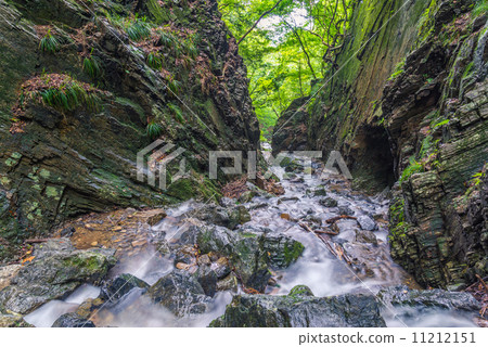 Shiratani,Gorj的新鮮綠色 Shiratani,Gorj的新鮮綠色 11212151