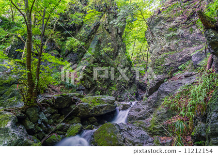 新鮮的綠色峽谷 11212154