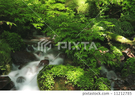 Nakhinzawa春天春天在夏天 Nakhinzawa春天春天在夏天 11212785