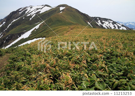 上越邊境的Sasahara和Musanobake·Kono Pass 11213253
