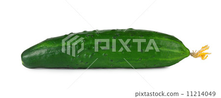 Green cucumber with flower 11214049