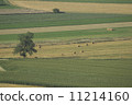 Tiber valley near Rome 11214160