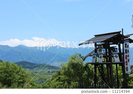 I can hear the sound of a shellfish 11214394