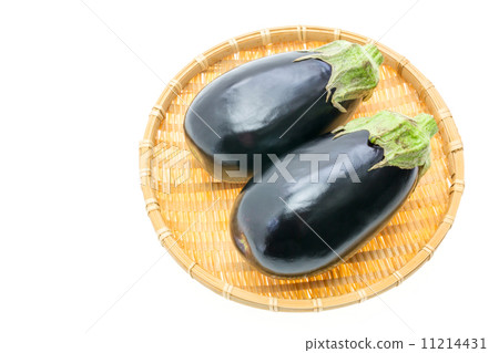 米兩個米分支 米兩個米分支 11214431