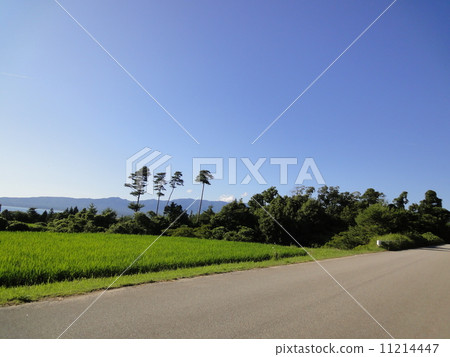 Mountain road Mountain road 11214447