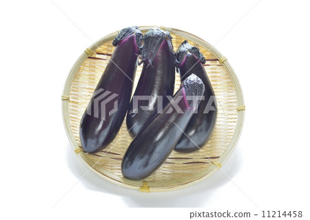eggplant 11214458