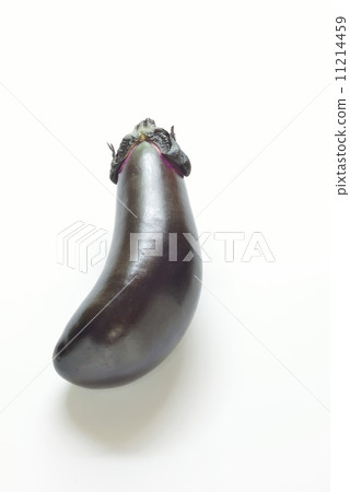 eggplant 11214459