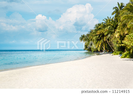 Maldives beach Maldives beach 11214915
